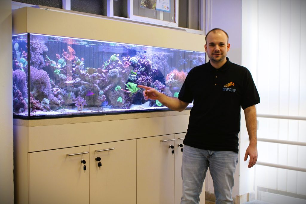 „A diákjaim tevékenyen részt vehetnek vadon kihalt fajok megmentésében”