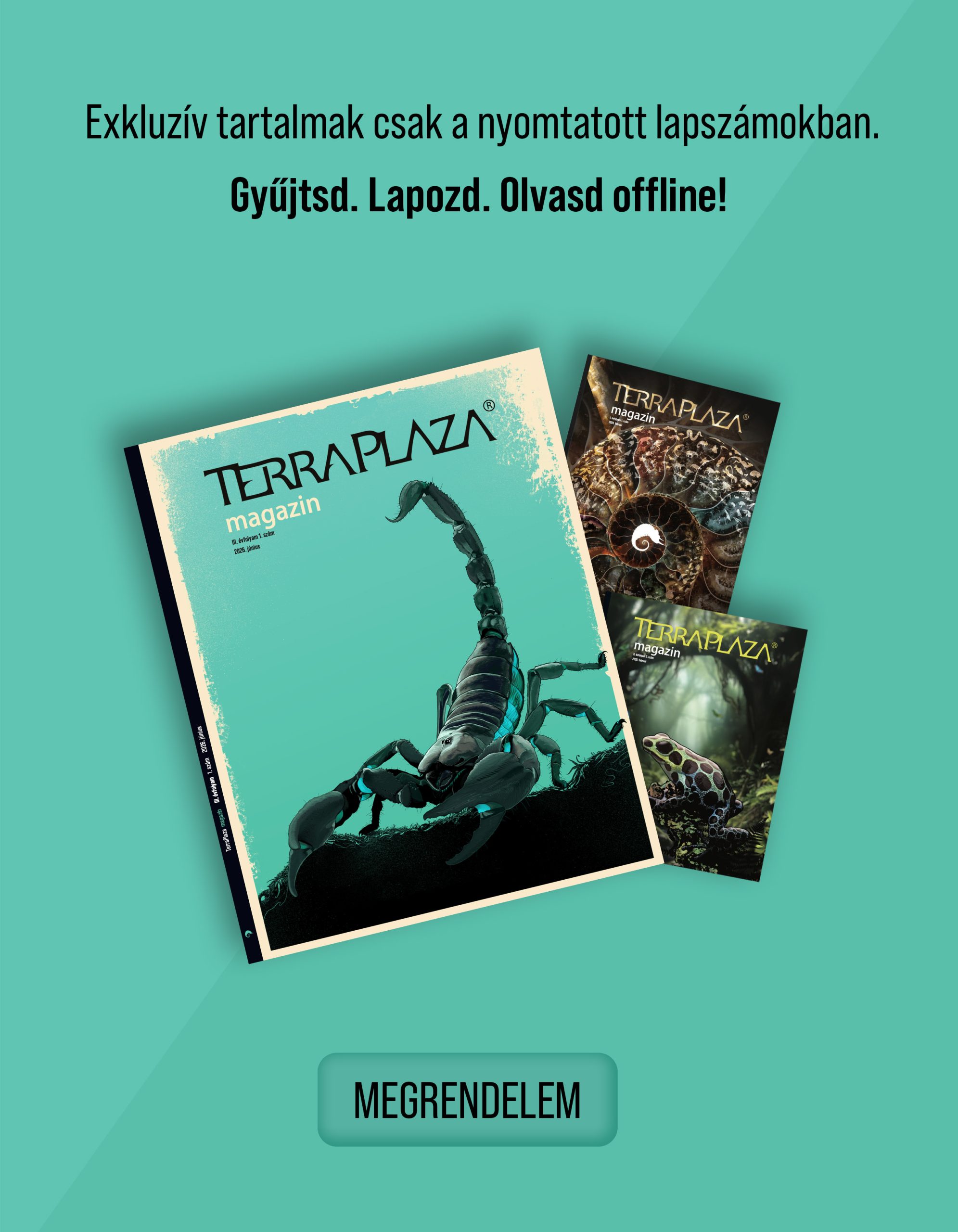 TerraPlaza Expo