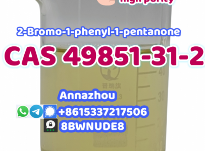 CAS 49851-31-2 2-Bromovalerophenone