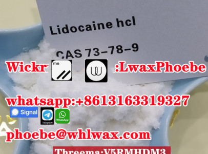 Anesthetic Base Procaine Benzocaine Lidocaine