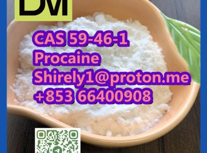 CAS 59-46-1 Procaine with high quality