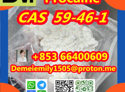 CAS 59-46-1 Procaine China factory supply