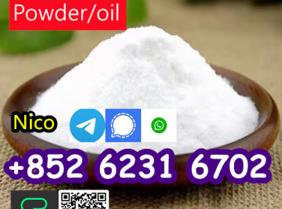 High quality 99% CAS 5449-12-7 BMK Glycidic Acid