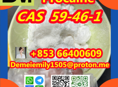 CAS 59-46-1 Procaine China factory supply