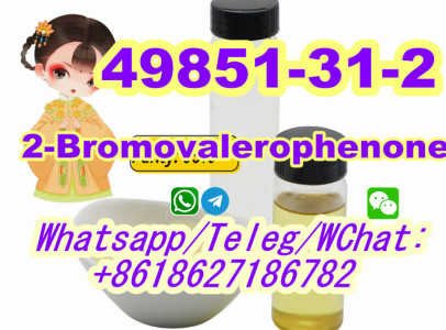cas 49851-31-2 2-Bromovalerophenone Door to Door