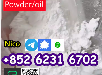 High quality 99% CAS 5449-12-7 BMK Glycidic Acid