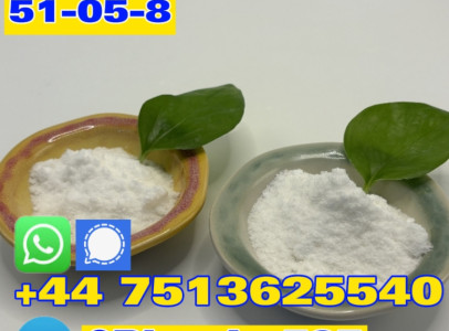 51-05-8 warehouse procaine hydrochloride