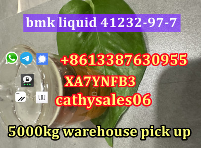 Cas 41232-97-7 bmk oil with high yield