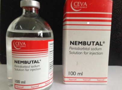 Pentobarbital-Natrium (Nembutal)