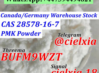 CAS 28578-16-7 PMK Ethyl Glycidate PMK Powder