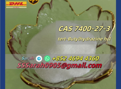 CAS 7400-27-3 Tert-Butylhydrazine Hydrochloride