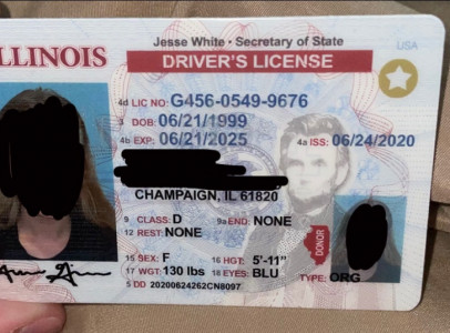 Fake ids birth certificate work permit green car