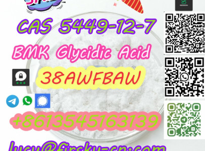 CAS 5449-12-7 Raw Material BMK Glycidic Acid