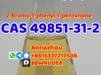 CAS 49851-31-2 2-Bromovalerophenone
