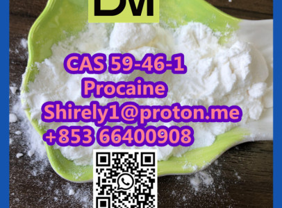 CAS 59-46-1 Procaine with high quality