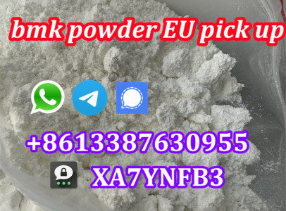 BMK Glycidic Acid (sodium salt) CAS 41232-97-7
