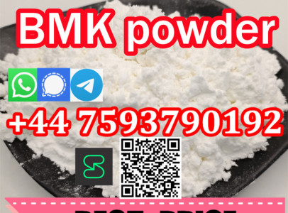 Bmk 5449-12-7 Supply 99% BMK Glycidic Acid