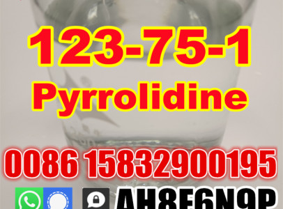 Free sample Pyrrolidine Cas 123-75-1 bulk stock