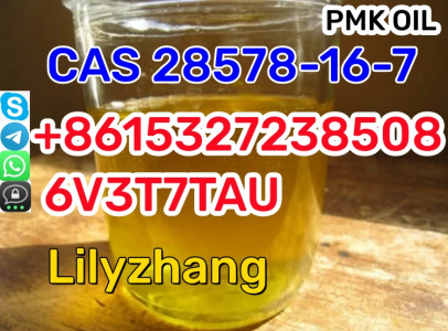 Greatest Quality Pmk Oil CAS 28578-16-7 acetate
