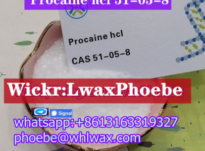 Anesthetic Base Procaine Benzocaine Lidocaine