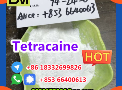 Factory Supply  CAS 94-24-6 High Quality Tetraca