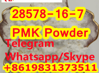 CAS 28578-16-7 PMK Oil PMK Powder