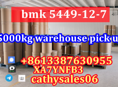 Cas 41232-97-7 bmk oil with high yield