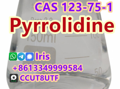 Cas 123-75-1 Pyrrolidine with Factory Price