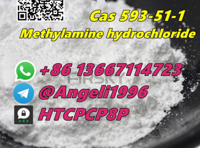 Cas 593-51-1  Methylamine hydrochloride