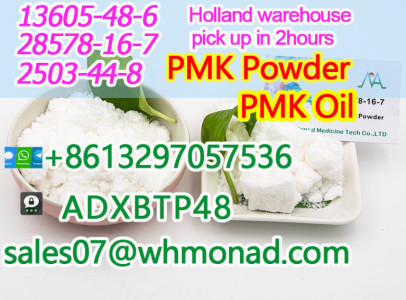 pmk powder/PMK oil cas 28578-16-7 PMK ethyl glyc