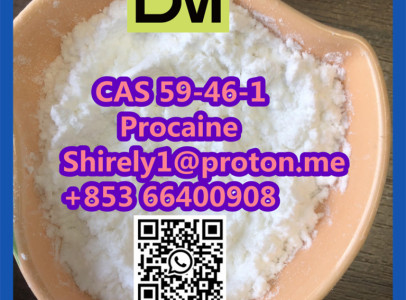 CAS 59-46-1 Procaine with high quality