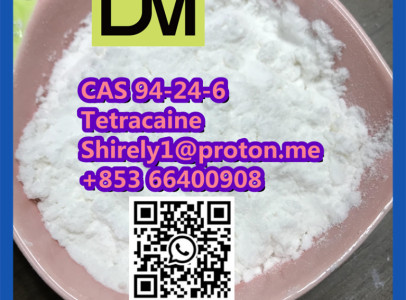 CAS 94-24-6 Tetracaine  high quality