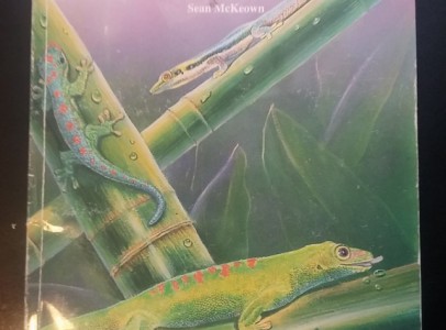 Nappali gekkók- angol nyelvű szakkönyv