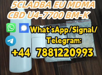 Buy 5cladba online 5cladba for sale 5CLADBA powd