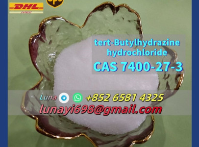 tert-Butylhydrazine hydrochloride CAS 7400-27-3