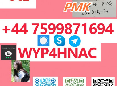 Hot Offer: PMK Oil CAS No. 28578-16-7