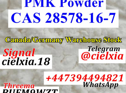 CAS 28578-16-7 PMK Ethyl Glycidate PMK Powder