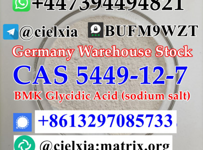 CAS 5449-12-7 BMK Powder BMK Glycidic Acid (sodi