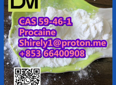 CAS 59-46-1 Procaine with high quality