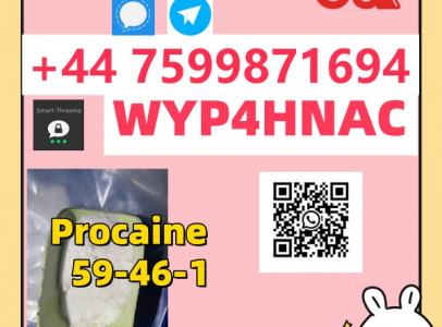 Global Procaine Supply – CAS No. 59-46-1
