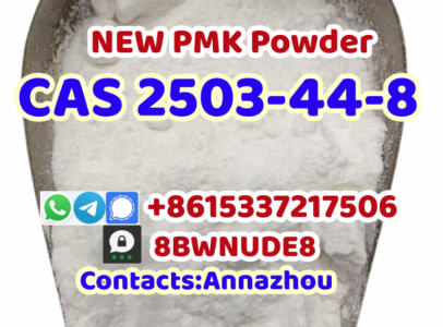 New PMK Powder Cas 2503-44-8 with Fast and Safe