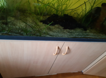 akvárium 200 literes