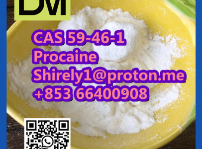 CAS 59-46-1 Procaine with high quality