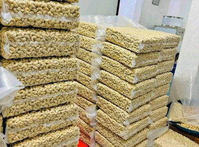 Quality Cashew Nuts In Stock Ready For Export