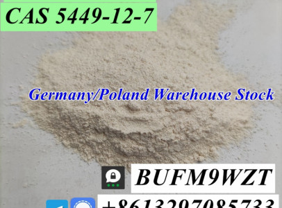 CAS 5449-12-7 BMK Powder BMK Glycidic Acid (sodi