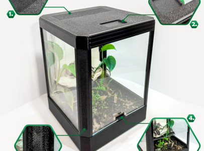 Jumping Spider, Pet, Terrarium Enclosure