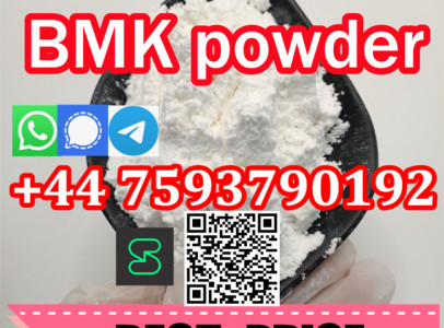 Bmk 5449-12-7 Supply 99% BMK Glycidic Acid