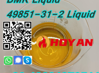Best Price New BMK Oil CAS No: 20320-59-6