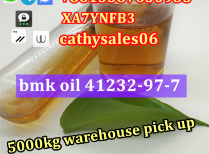 BMK Glycidic Acid (sodium salt) CAS 41232-97-7