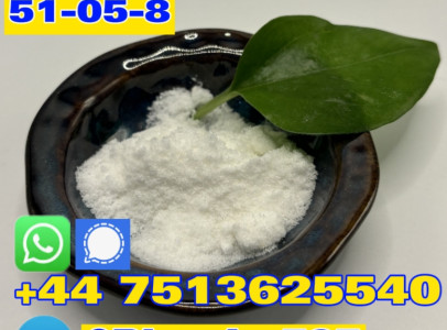 Procaine hydrochloride 59-46-1/51-05-8 Procaine